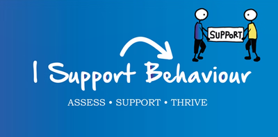 1:1 Behaviour Support Consultation