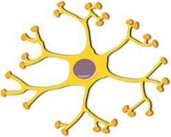 Get a Disabled Parking Permit for Neurologic Conditions: A Comprehensive Guide