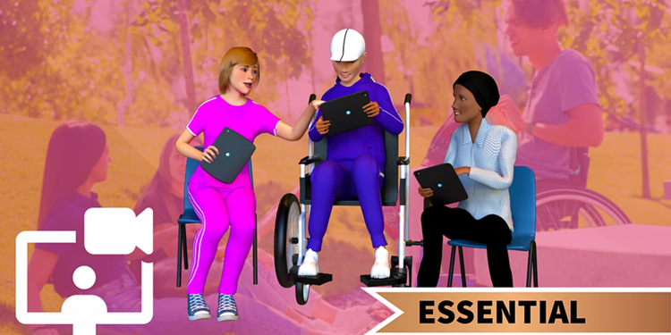 Disability Inclusion - Essential Level