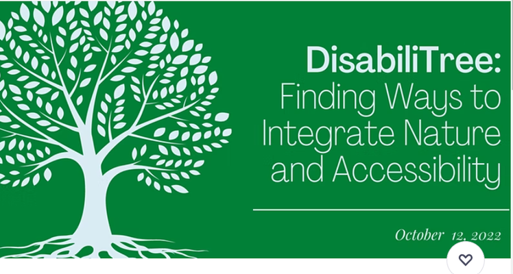 DisabiliTree: Finding Ways to Integrate Nature and Accessibility