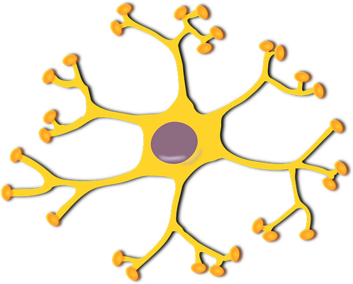 Get a Disabled Parking Permit for Neurologic Conditions: A Comprehensive Guide