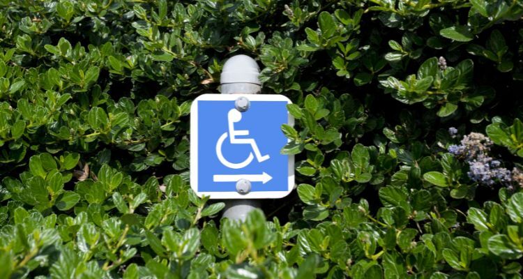 Understanding the Eligibility Criteria for a Handicap Placard in North Carolina